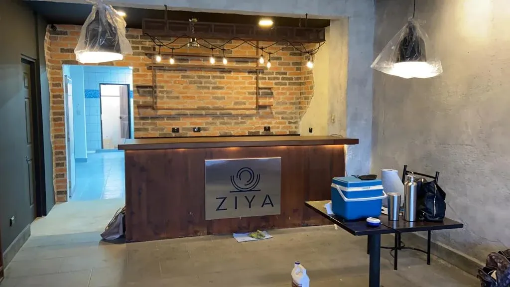 Proyecto destacado: ZIYAC